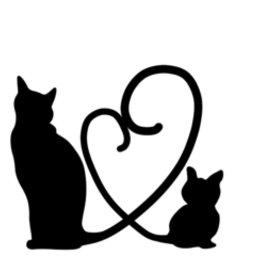 彩り