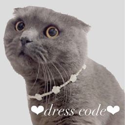 dresscode