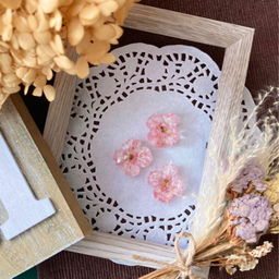 アトリエ森の片隅