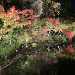 clomatsu3