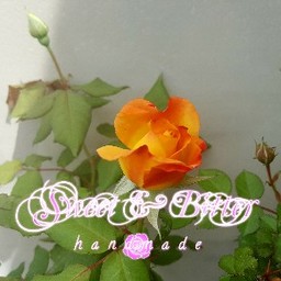 祐