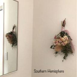 Southern Hemisphere 