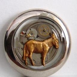 equus-asinus
