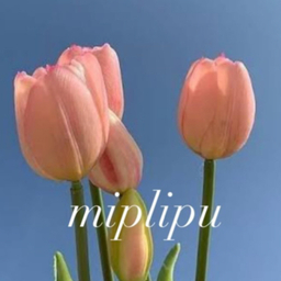miplipu ミプリップ