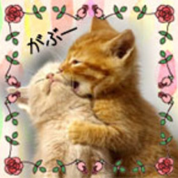 ☆にゃにゃう☆