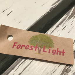forest-light