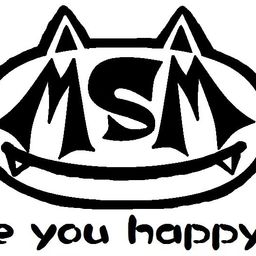 msm