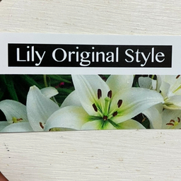 Lily