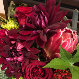blooming4