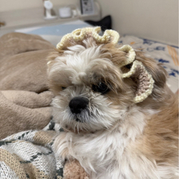 編み物屋さん うしお‪´•ᴥ•`