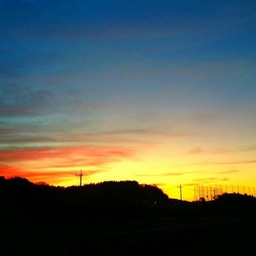 honohono♪