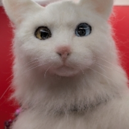 ラブちゃんママ