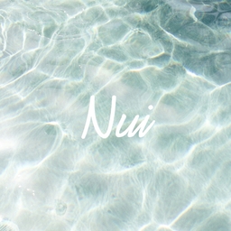 nui-sea-accessory