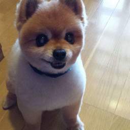 maririn