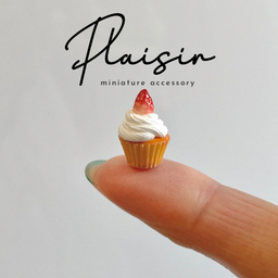 plaisir(プレジール)