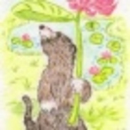 ～蓮の花～ 