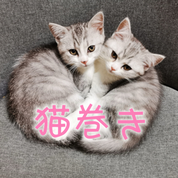 nekomaki1107