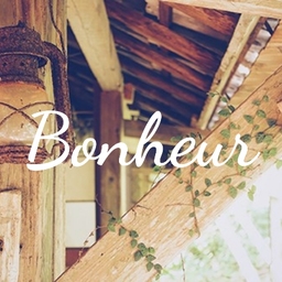 ne*ne