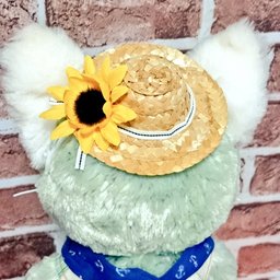 みゆきち。