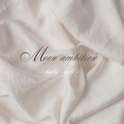 Moon ambition
