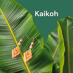 Kaikoh