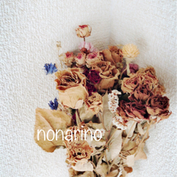 nonarino