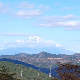 risasa89