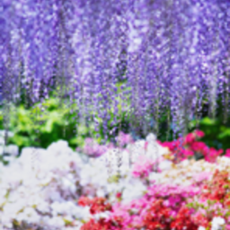 手作り工房TOMさん