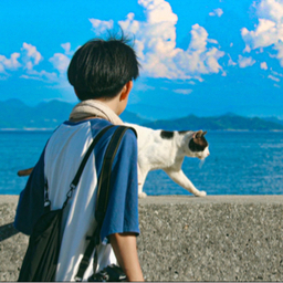 でちの写真屋さん