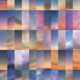 with-the-sky