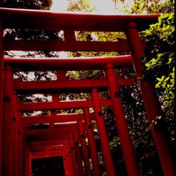 吾平
