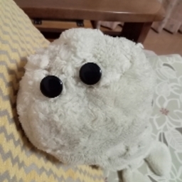 kenta@bau
