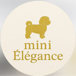 mini elegance