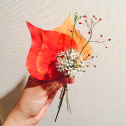 きき