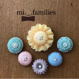 mi-families