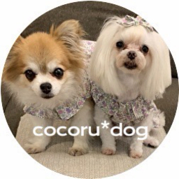 cocoru＊dog