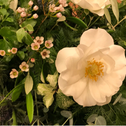 iamxamお花だいすき