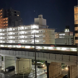 蒼い鳥