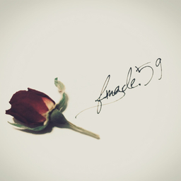 f_made.59