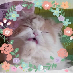 どーぱみん工房