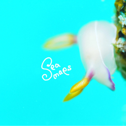 seamaps