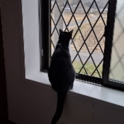 OLAF