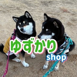 kuroshiba-sp