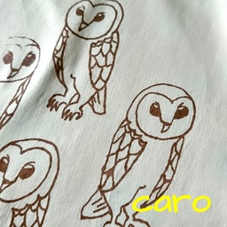 Caro