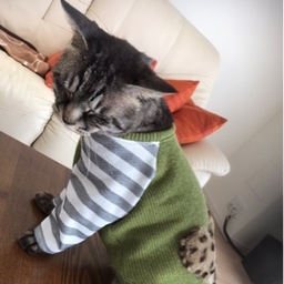 his