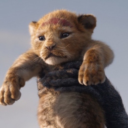 pilopilo0607