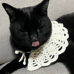しゃり