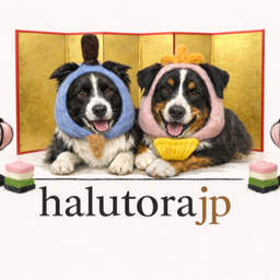 halutorajp