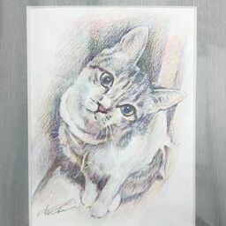 skgallery