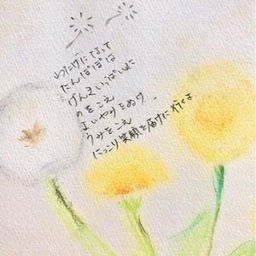 たんぽぽ
